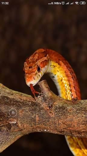 Snake Wallpaper screenshot 6
