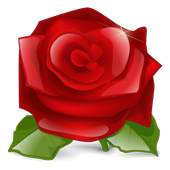 Rose 3D live wallpaper 1.0