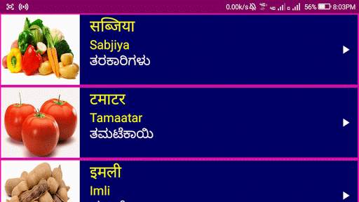 Learn Hindi from Kannada screenshot 14