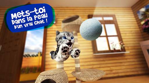 Cat Simulator screenshot 5