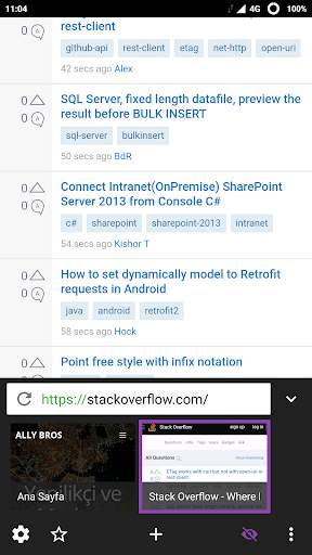 NetRover Web Tarayıcı screenshot 5