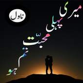 Meri Pahli Muhabbat Tum Ho Novel 1.0