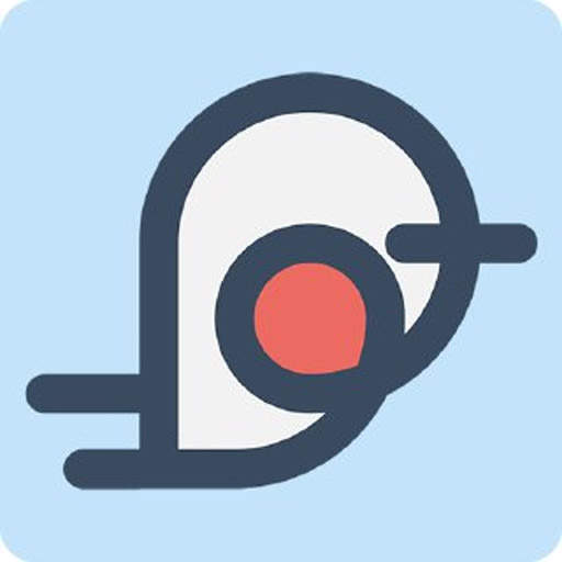 Robin VPN 2.05-p