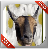 Talking Goat - Goat Sounds أيقونة