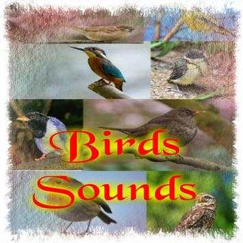 Birds Sounds स्क्रीनशॉट 1