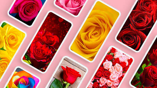 Rose Wallpapers 4K screenshot 1