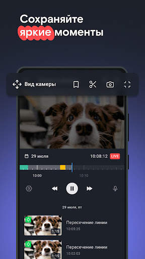 Видеонаблюдение и Умный дом screenshot 5