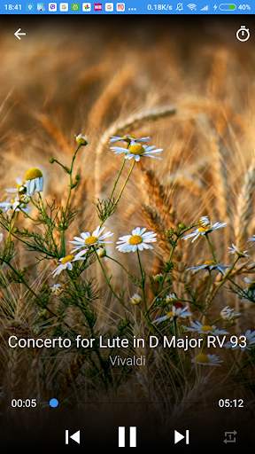 Relaxing Classical Music screenshot 2