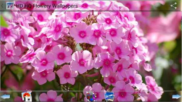 HD HQ Flowery Wallpapers screenshot 7