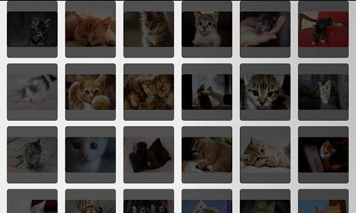Photo Collage - Kittens Cat screenshot 5