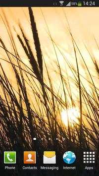 Grass Live Wallpaper HD screenshot 1