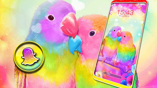 Love Birds Launcher Theme स्क्रीनशॉट 2