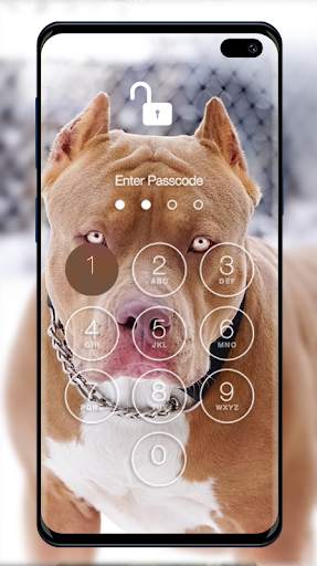Pitbull Wallpapers & Lock Screen 4 تصوير الشاشة