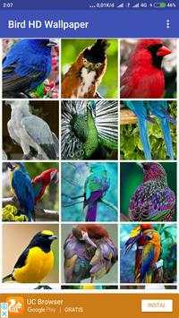 Bird Wallpaper screenshot 2