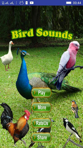Bird Sounds screenshot 1