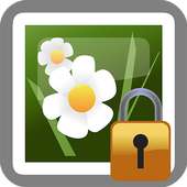 Photo and Video Vault
