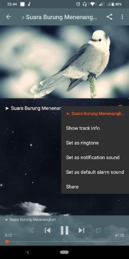 Lagu Santai Buat Tidur : Relaxing Music screenshot 6