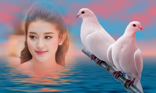 Birds Photo Frame New screenshot 1
