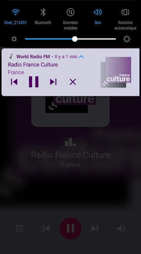 World Radio FM screenshot 8