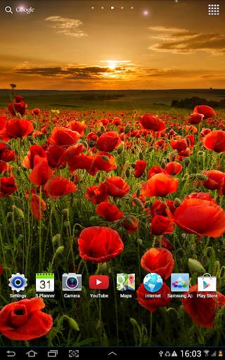 Flower Live Wallpaper screenshot 11