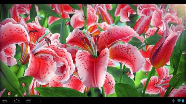 My Flower screenshot 9
