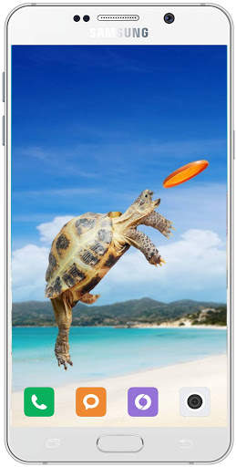 Turtle Wallpaper HD screenshot 4