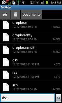 Rooted SSH/SFTP Daemon screenshot 3