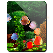 Fish Aquarium HD LWP Discus icon