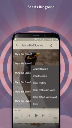 Myna Bird Sounds screenshot 3