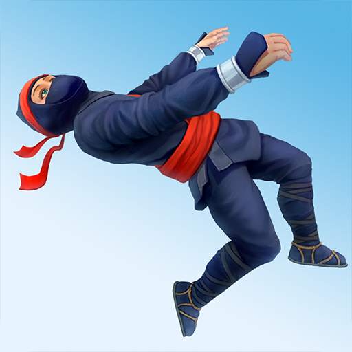 Ninja Flip 1.1.9