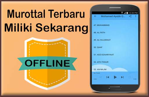 Muhammad Ayyub Full Quran Mp3 offline screenshot 3