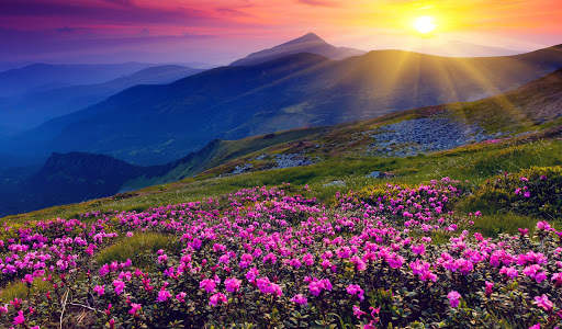 Beautiful Spring Wallpaper  4K screenshot 1