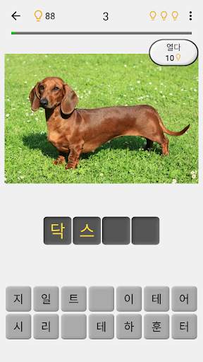 개 품종 퀴즈 : 사진에서 인기 있는 개 종류을 추측 screenshot 2