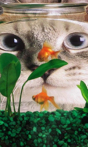 Aquarium Live Wallpaper - backgrounds hd screenshot 1