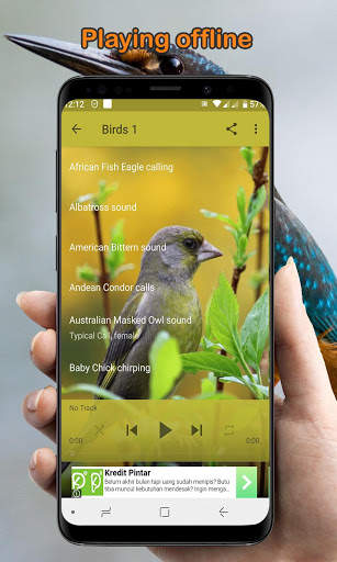 Bird Calls, Sounds, & Ringtones (Offline) скриншот 5