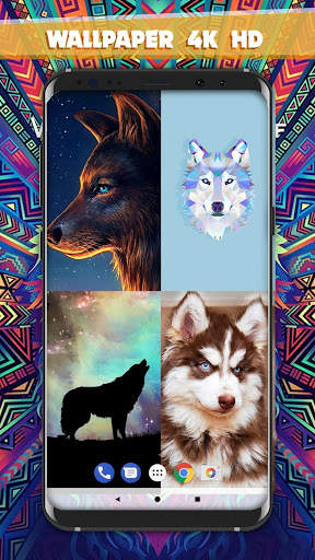 Wolf  Wallpaper Free 2020 HD - 4K 🐺 screenshot 1