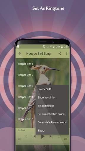Hoopoe Bird Song скриншот 4
