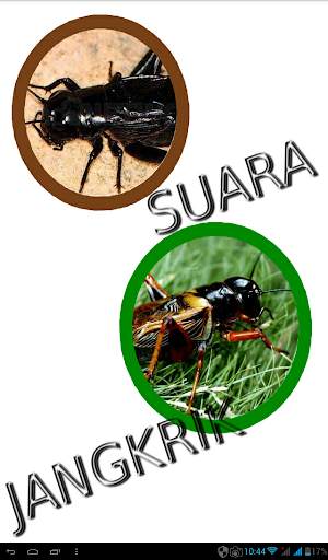 Kumpulan Suara Jangkrik Free screenshot 1