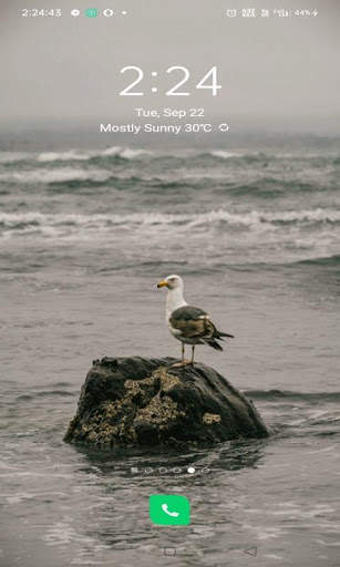 Alone Bird Live Wallpaper screenshot 2