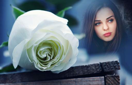 White Rose Photo Frames screenshot 2