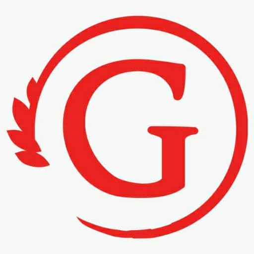 Good VPN icon