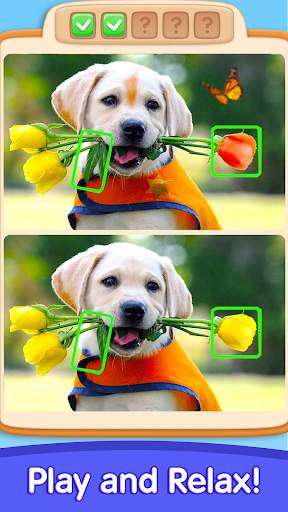 Can You Spot It: Differences screenshot 3