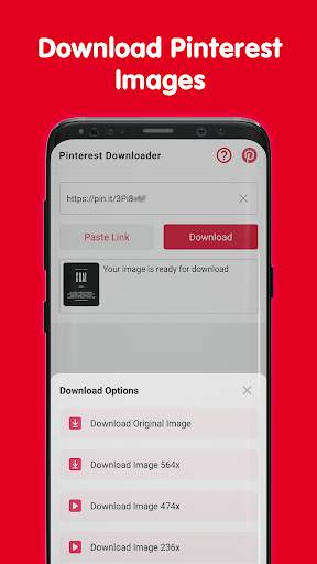 Downloader for Pinterest screenshot 2