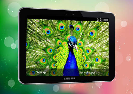 New Peacock Live Wallpaper screenshot 5
