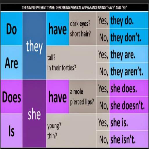 Simple Present Tenses screenshot 3