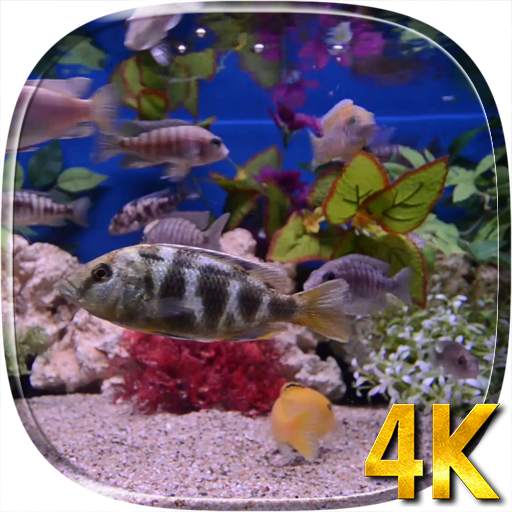 Aquarium 4K Live Wallpaper 4.0