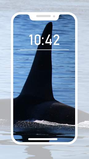 Orca Wallpapers screenshot 2