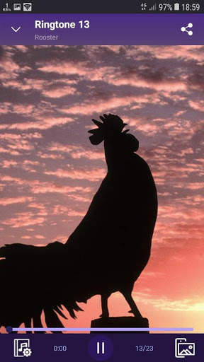 Rooster - RINGTONES and WALLPAPERS screenshot 3