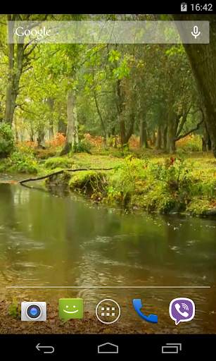 Rain in the forest Video LWP screenshot 3