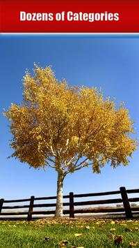 Trees - HD Wallpapers screenshot 5